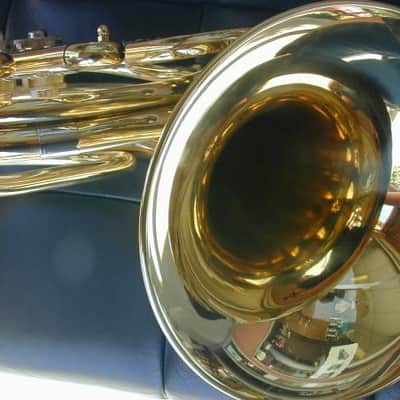 BerkeleyWind BerkeleyWind Bb French Horn (Amati 332 Style) image 11