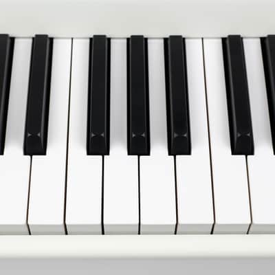 Mellotron M4000D 37-Note Digital Mellotron-Style Keyboard - White image 8