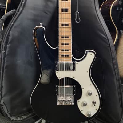 Slightly Used Schecter Stargazer 12 String Electric Guitar w/Bag image 2