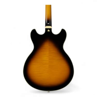 Ibanez JSM10 John Scofield Signature - Vintage Yellow Sunburst, Semi-Hollowbody Guitar with Hardshell Case image 7