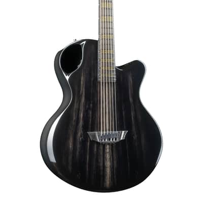 X30 | Carbon Fiber Jumbo Acoustic Guitar image 1