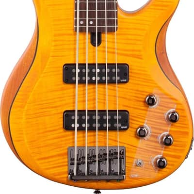 Yamaha TRBX605FM 5-String Bass Guitar, Rosewood Fingerboard, Matte Amber image 2