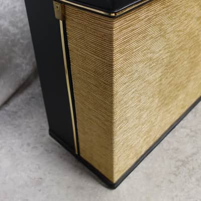 Vintage USA Magnatone Estey RS-1 remote speaker cab image 8