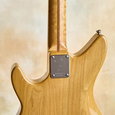 Grosh Electrajet VT, 2010 image 11