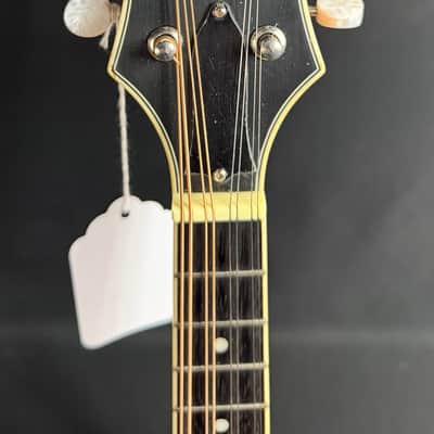 Epiphone MM-50E Professional F-Style Mandolin Blonde Natural w/ LR Baggs Pickup image 11