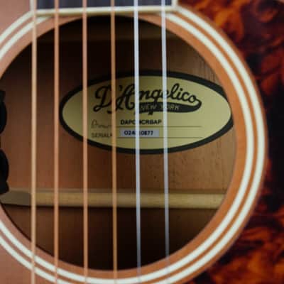 D'Angelico Premier Tammany with Electronics - Caramel Burst image 9