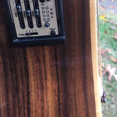 Zager 900CE 50th Anniversary image 8