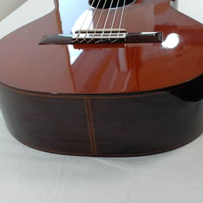 ASTURIAS Alto Guitar ALT-6 Quality Craftsmanship image 8