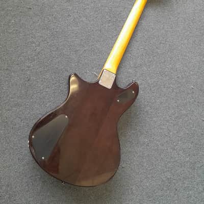 Schecter THS 12 String - Transparent Dark Brown image 2