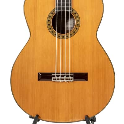 4 String Octave Bass Guitar - Estevé PS75 - All Solid Wood/Cedar/IR - 750mm Scale Length image 7