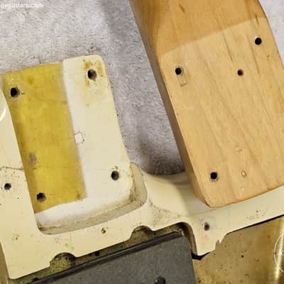 Fender Jazzmaster 1965 Olympic White L Plate image 10