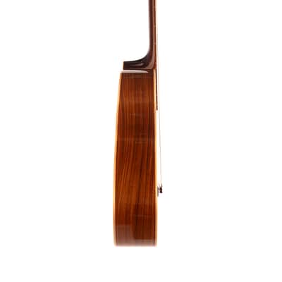 Benavides 0-12 12 String Brand New image 3