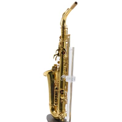 Eastman Model EAS650 'Rue Saint-Georges' Alto Saxophone SN A2440458 RENEWED image 14