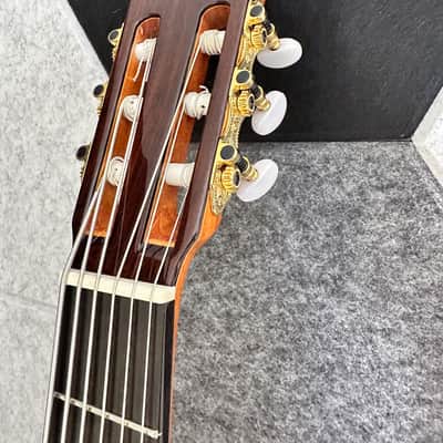 6 String Contrabass Guitar (Octave Bass) - Esteve PS75 - All Solid Wood/Cedar/Indian Rosewood - 750mm Scale Length image 20