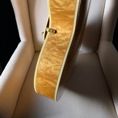 Mark Campellone Special 17" Archtop DeArmond Rhythm Chief 1100 image 13