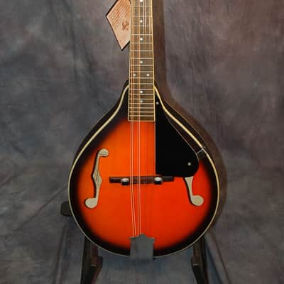 Harmony Stella Reissue New Strings Plays Great Hang Tags 1990's Sunburst image 1