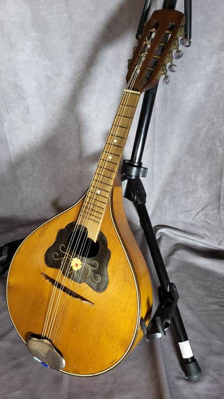 Vogtland Mandolin