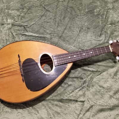 1920's Weymann Mandolute image 1