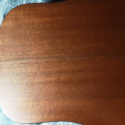 Breedlove Revival USA Custom Shop hog top Dread image 13