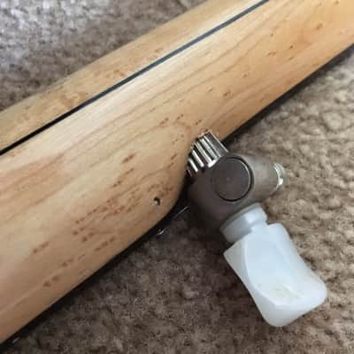 Wildwood Minstrel Open-Back 5-String Banjo image 6