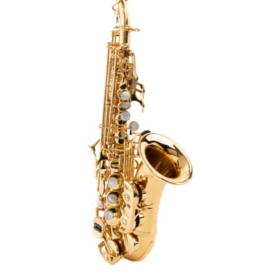 Wisemann DSS-C500 gold brass soprano saxophone, curved body, with mouthpiece and case image 2