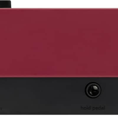 Roland GO:KEYS 3-RD Music Creation Keyboard - Dark Red image 3