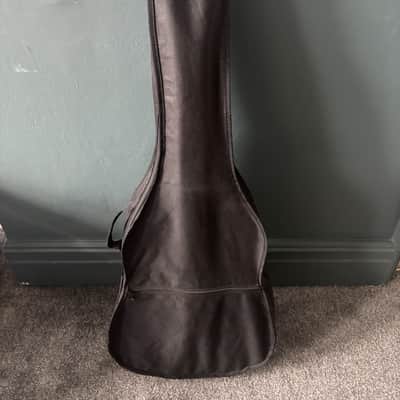 Aria 12 string Dreadnought AW 20 - T - N image 9