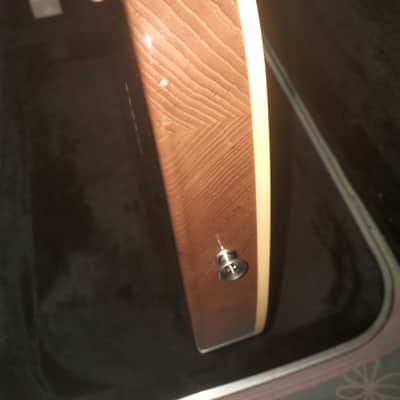 (Limited) Fender Japan 2021 Limited Edition F Hole Telecaster Thinline image 13