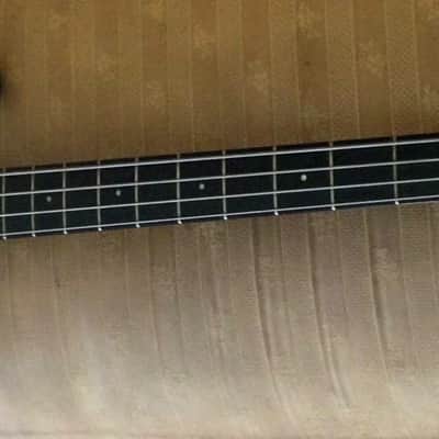 Lynch mob wicked sensation video ESP precision bass image 4