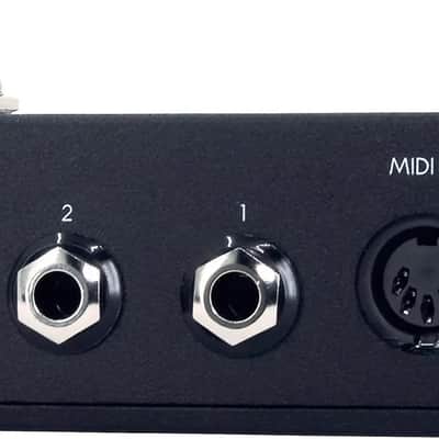 Walrus Canvas MIDI Clock Pedal image 5