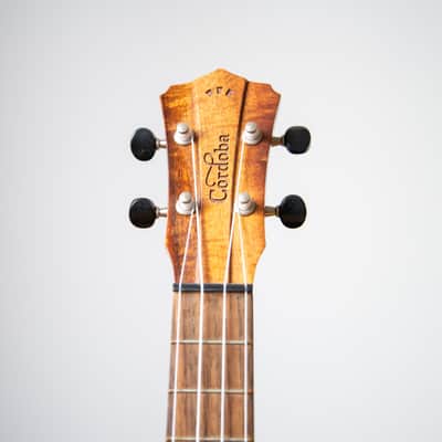 Cordoba 30T Tenor Ukulele 2010s - Solid Mahogany image 8