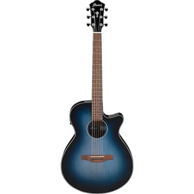 Ibanez AEG50