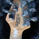 Ernie Ball Music Man Steve Morse Signature