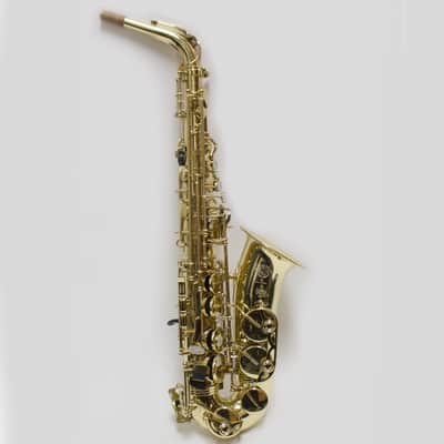 Used Selmer Paris Super Action 80 Series II 52NG Professional Alto Saxophone image 6