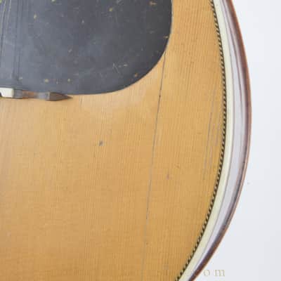1914 WEYMANN MANDOLUTE STYLE 30 image 15