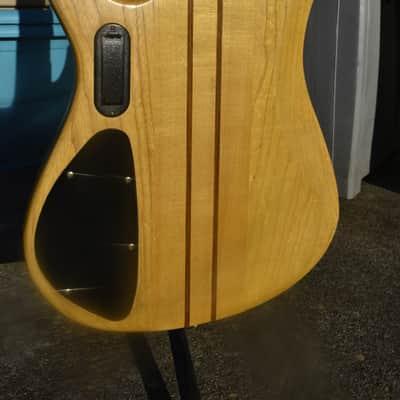 Agile Brice 6 string bass Vintage toned image 5