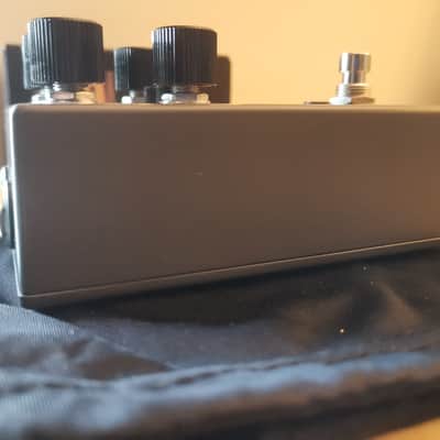 Walrus Audio Mira 2023 image 14
