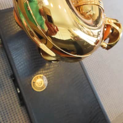 CANNONBALL SCEPTYR ALTO SAXOPHONE-STUNNING -FRESH PRO OVERHAUL, MUST SEE+ 1 Yr WTY image 18