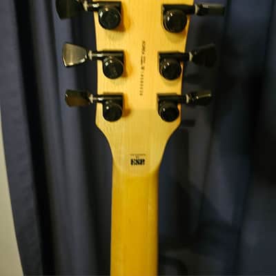 ESP LTD WA-Warbird SE Will Adler Signature image 7