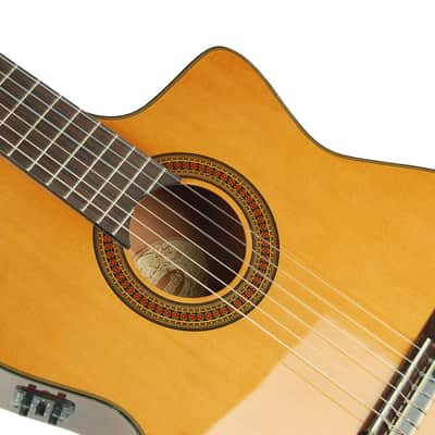 Washburn C64SCE Solid Spruce Top Mahogany Neck 6-String Classical Acoustic-Electric Guitar image 5