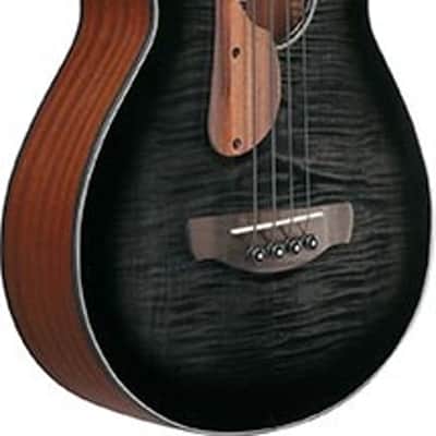 Ibanez AEGB25E TKH Acoustic Electric Bass. Transparent Black Burst High Gloss image 3