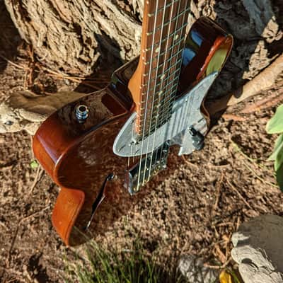 Fender Partscaster Telecaster Thinline Roasted Maple Neck Mahogany Semi-Hollow w/ Fralin Pickups image 3