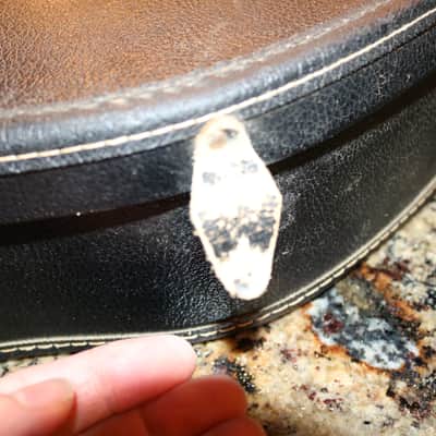 Mid to late 60' Gibson ES-330 ES-335 soft case image 18