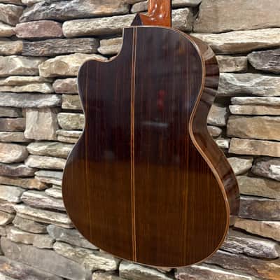 Linda Manzer Sitar Acoustic 1997 w/ Hardshell Case image 8
