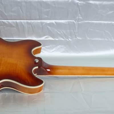 D'Angelico Premier DC Mini 2023 - Iced Tea Burst image 4