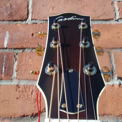 Godin Connaisseur MJ RW Black w/hard case , sf image 4