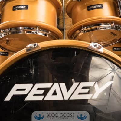 Peavey RBS-1 7-Piece Drum Set w/ Radial Pro 1000 8" Tom | 22/16/14/12/10/8/14SN image 9