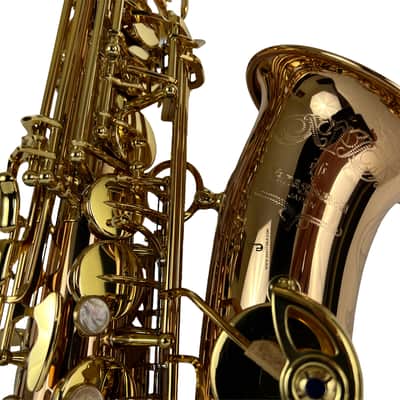 Yanagisawa AWO20UL Unlacquered Bronze Elite Alto Saxophone New In Box! image 5