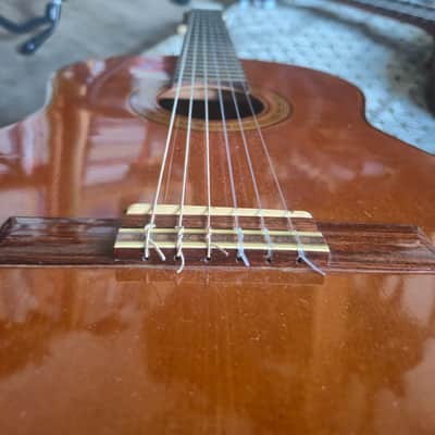 Tokai classical 1970 - lacquered image 9