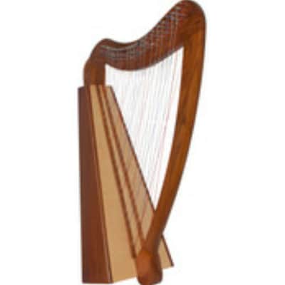Roosebeck HCTA |38-String Cross Strung Caitlin Harp. New with Full Warranty!